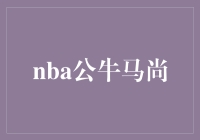  NBA公牛队与马尚·布鲁克斯：谁是未来之星？